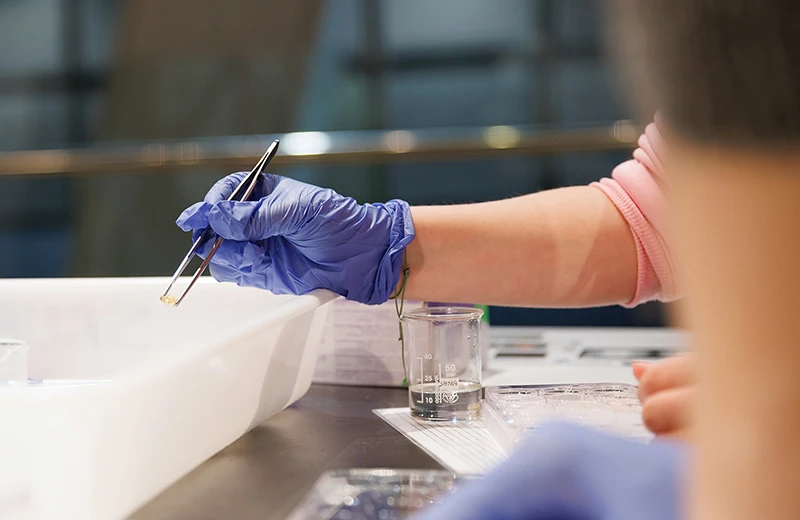 Anar a la pàgina&nbsp;'Polítiques d’investigació i bones pràctiques'